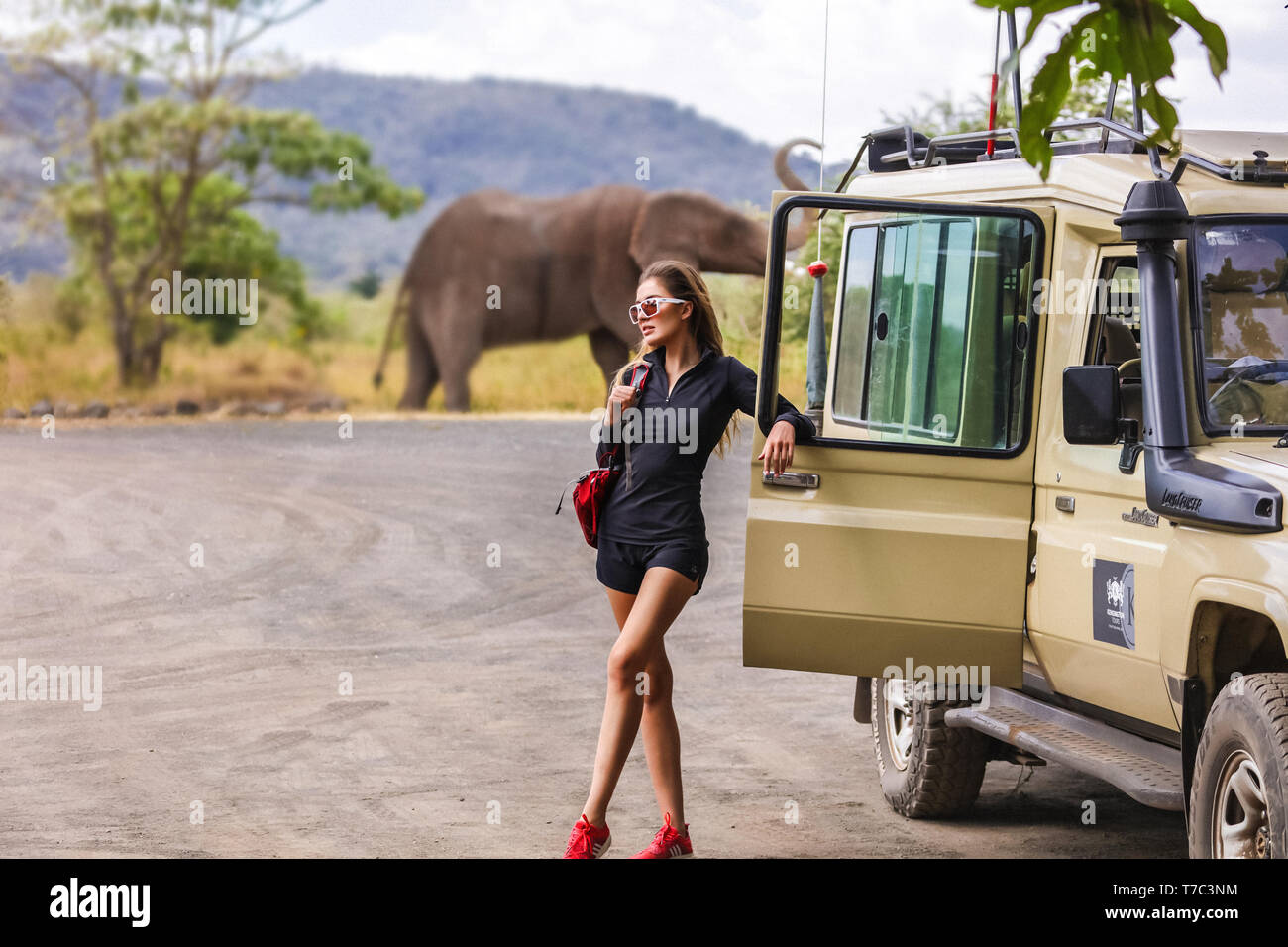 Pretty young woman on african safari, standing near the car, enjoys wild nature and animals around. Big elephant and mountain on the background. Wear Stock Photo