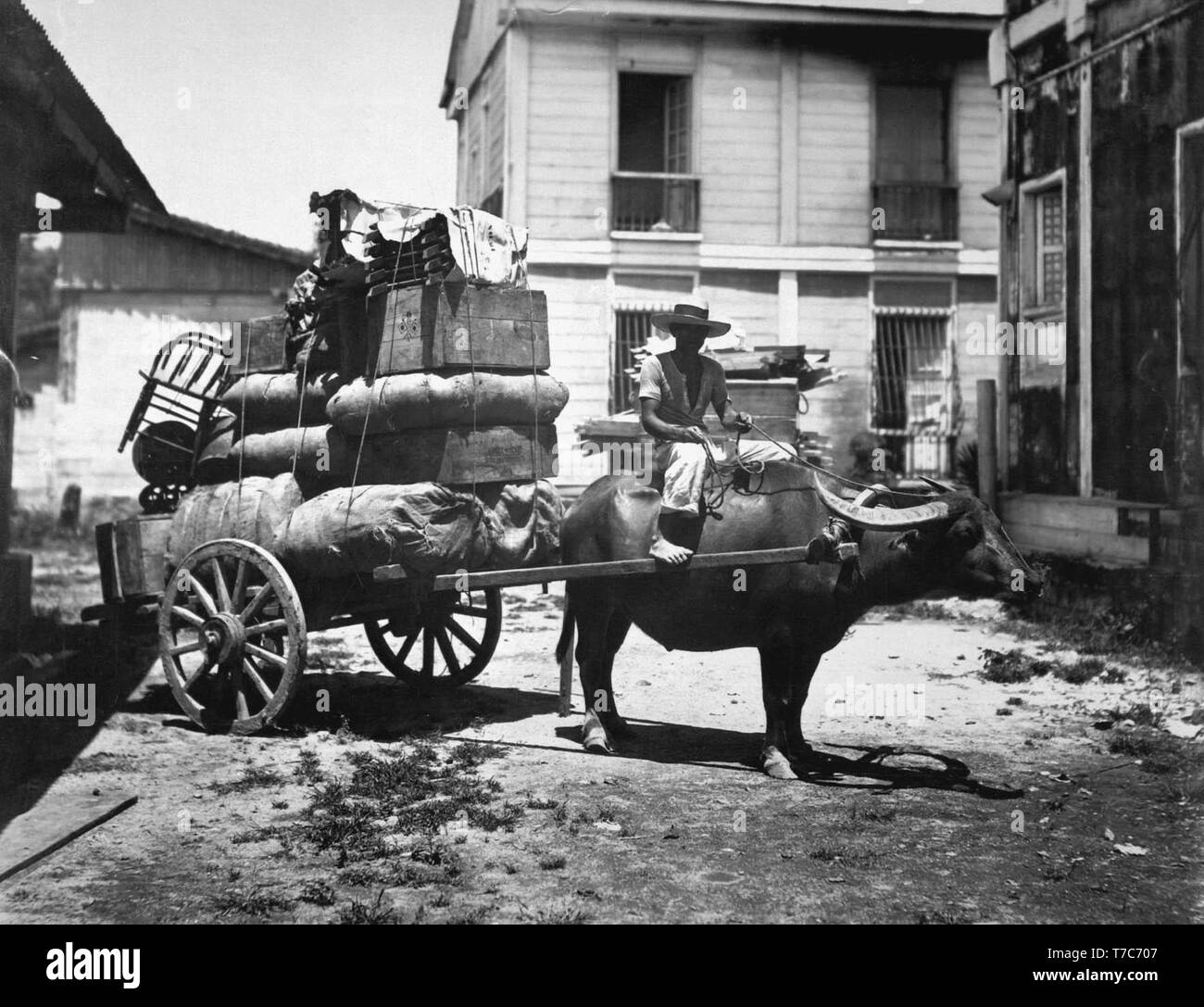Carabao Cart High Resolution Stock Photography and Images Alamy