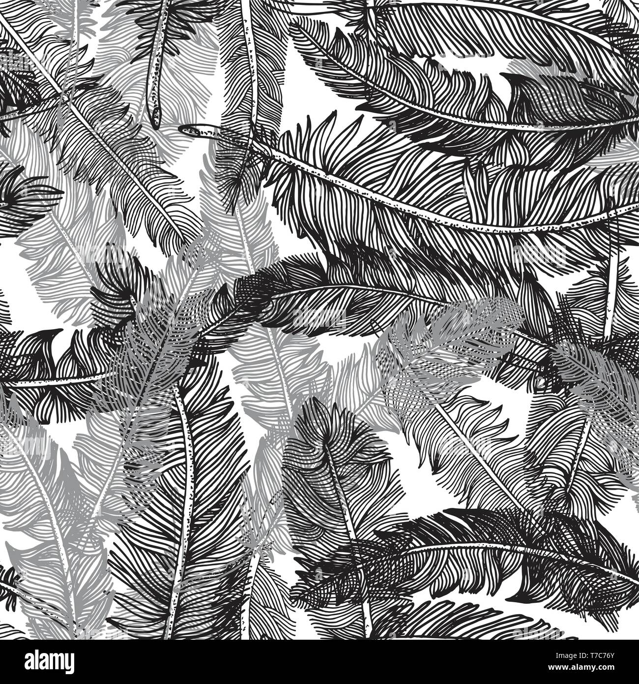 Seamless pattern of hand drawn feathers .Vector illustration Stock ...