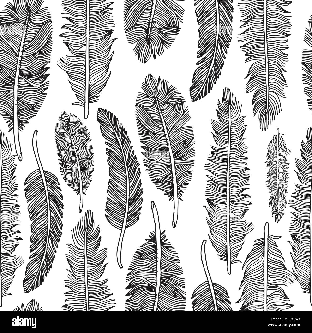Seamless pattern of hand drawn feathers .Vector illustration Stock ...