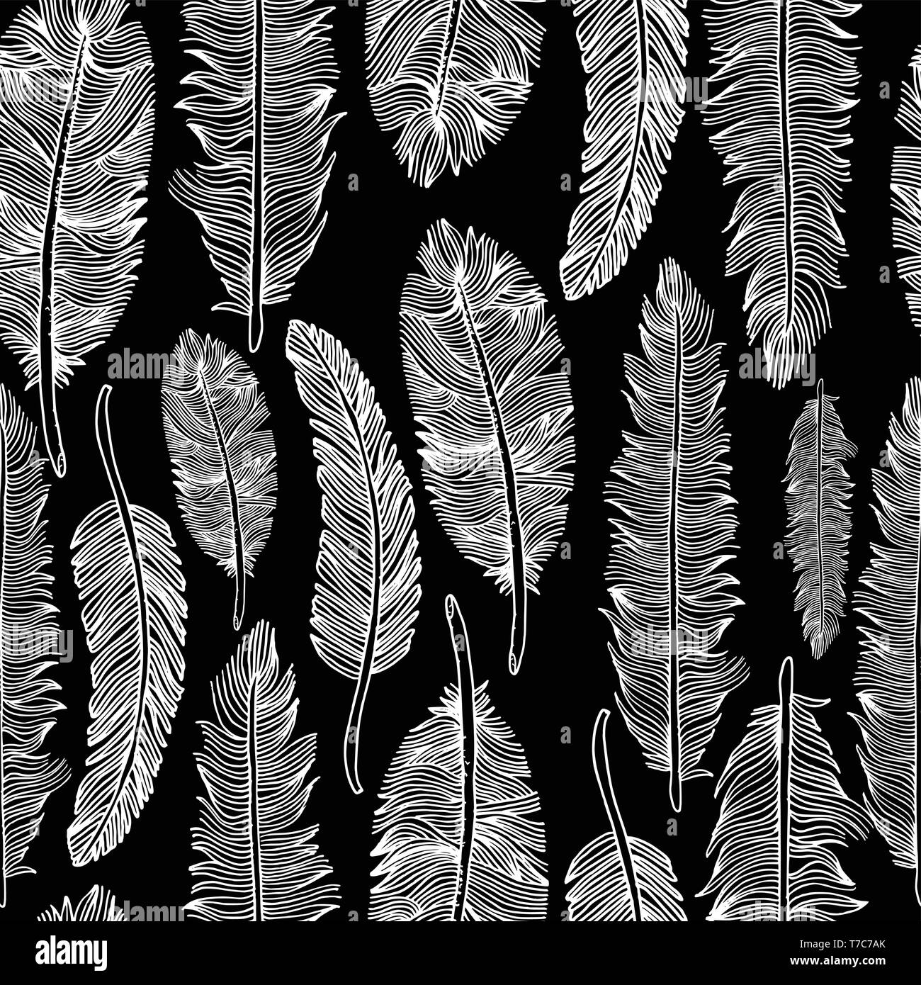Seamless pattern of hand drawn feathers .Vector illustration Stock ...