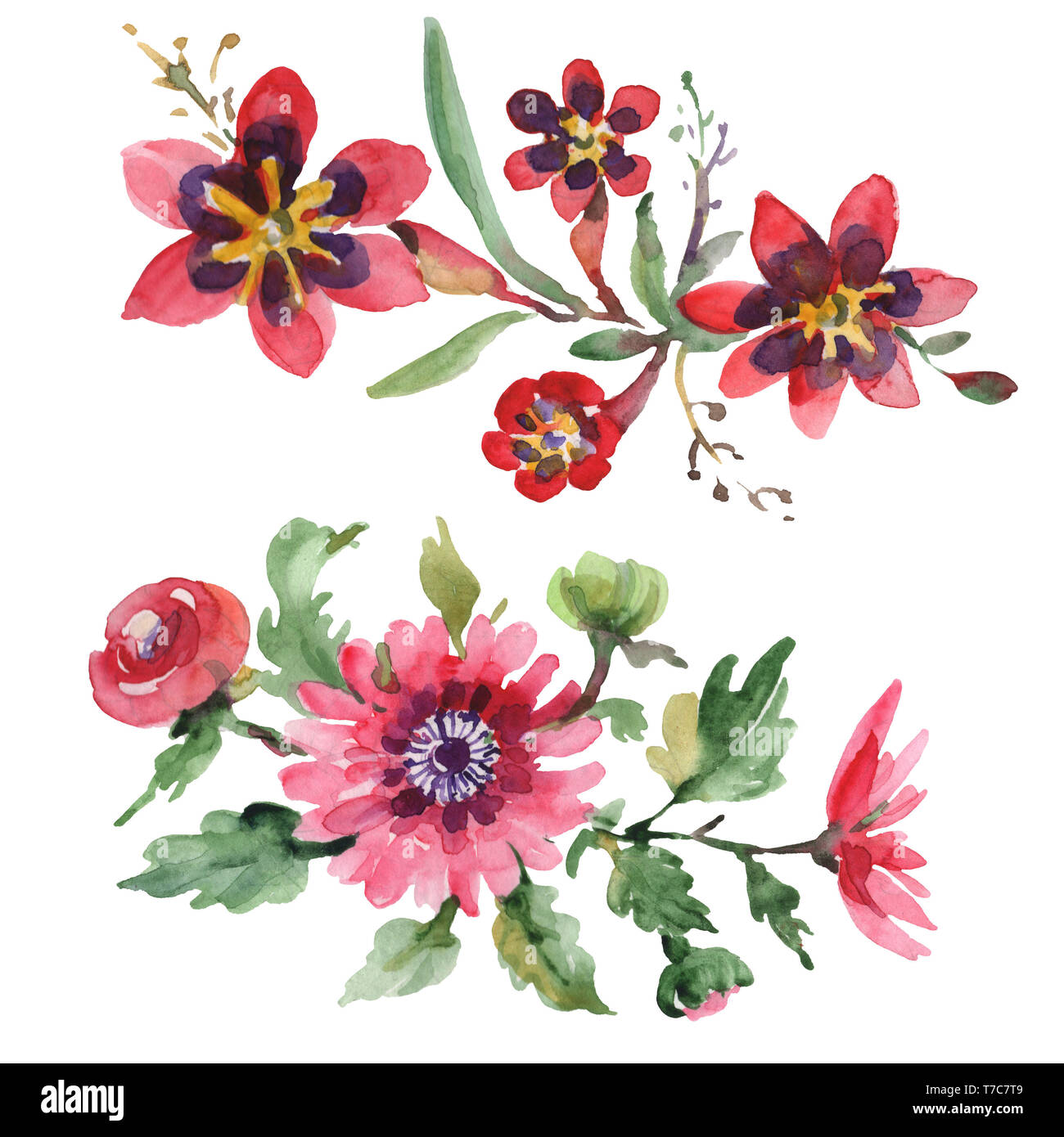Bouquets floral botanical flowers. Watercolor background illustration ...