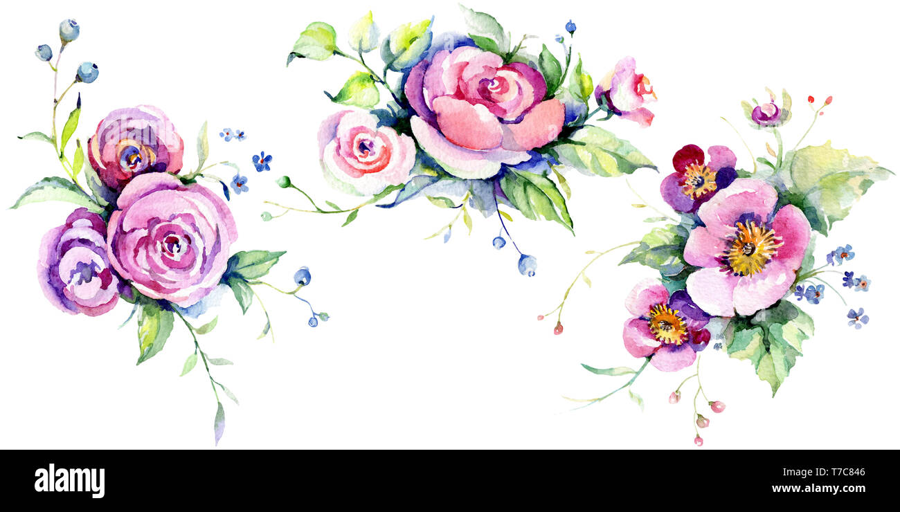 Pink rose bouquet loral botanical flowers. Watercolor background set ...