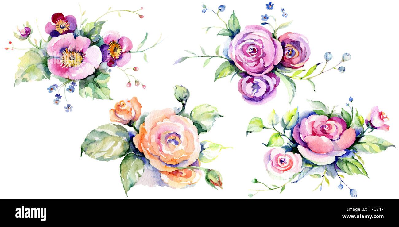 Pink rose bouquet loral botanical flowers. Watercolor background set ...