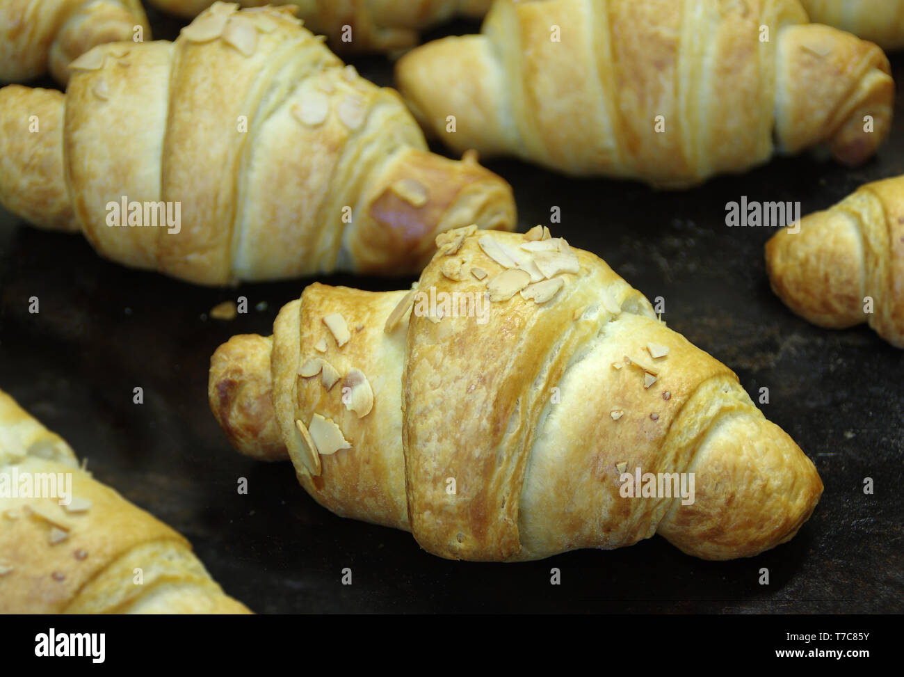 Hot croissant straight from the oven. Fresh french pastry. Stock Photo