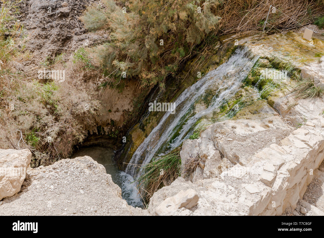 The Waterfall in national park Ein Gedi at the Dead Sea in israel Stock Photo