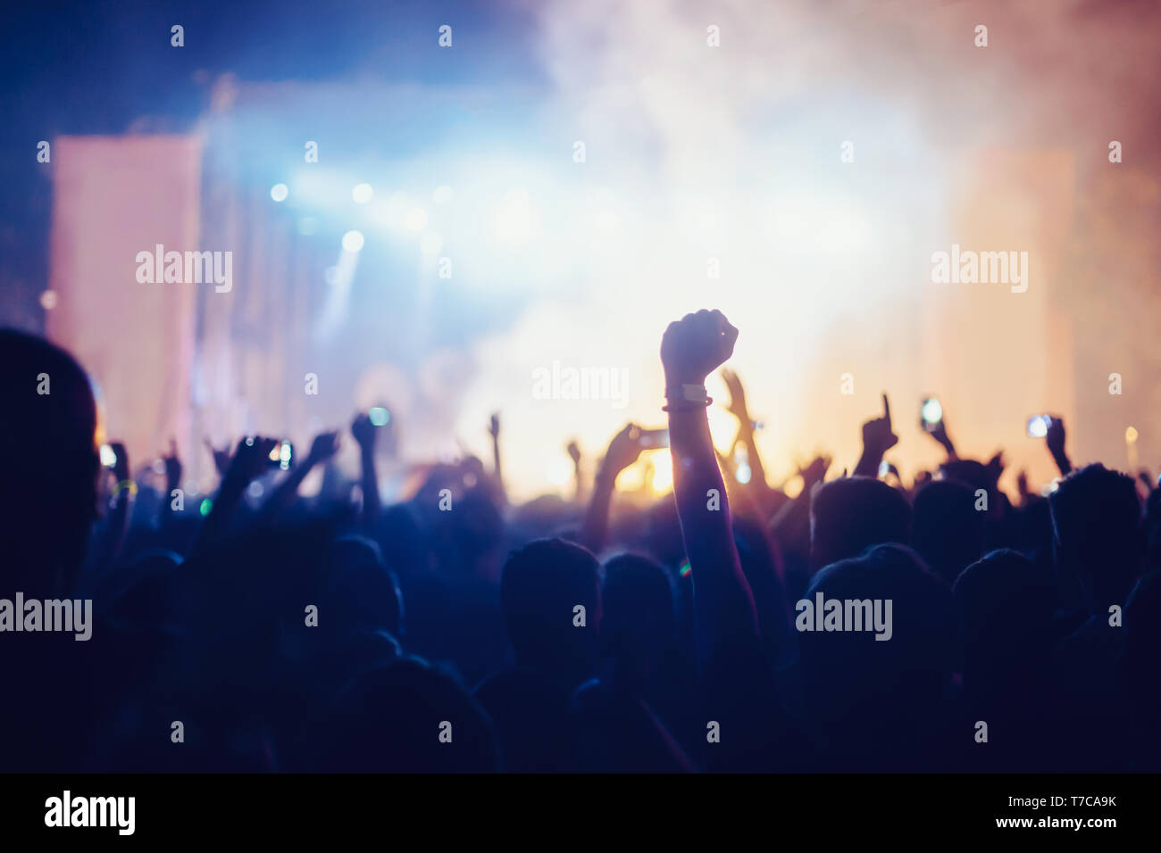 Picture of party people on music festival Stock Photo