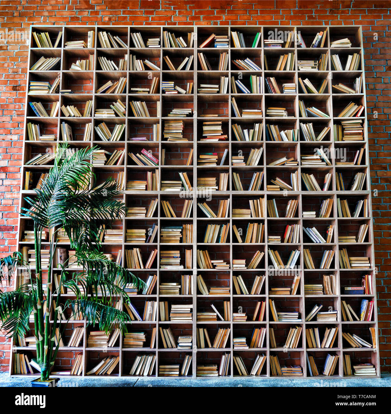 Bookshelveswall hires stock photography and images Alamy
