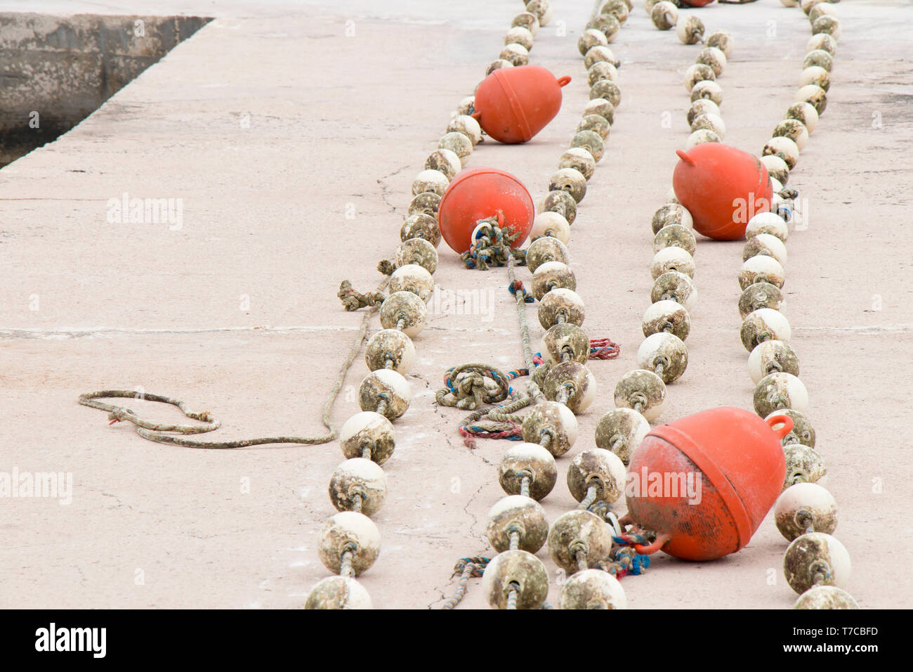 Floating buoys on ropes lined on the coast pier and ready to be put in ...