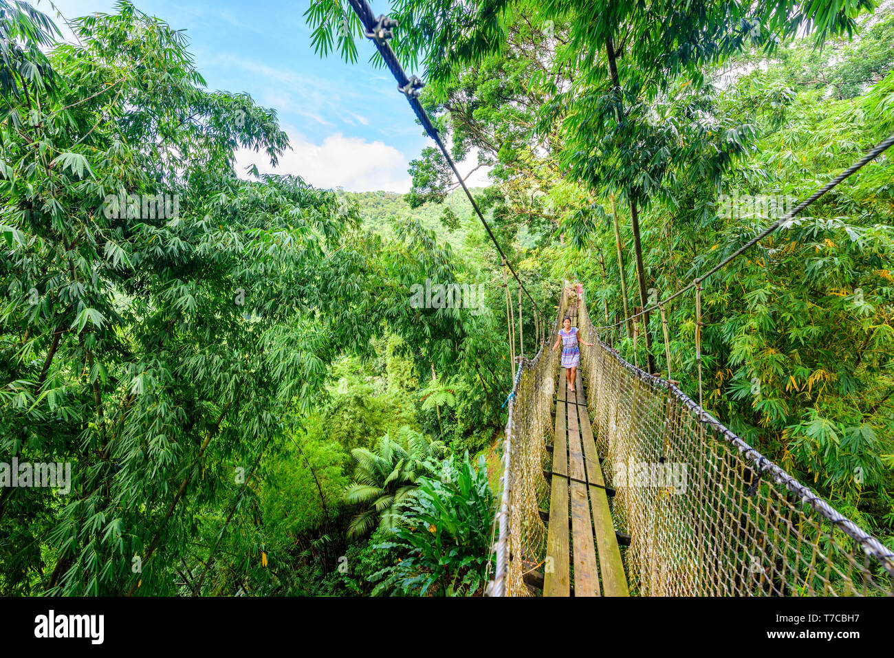 Balata Garden, Martinique Paradise botanic garden on tropical