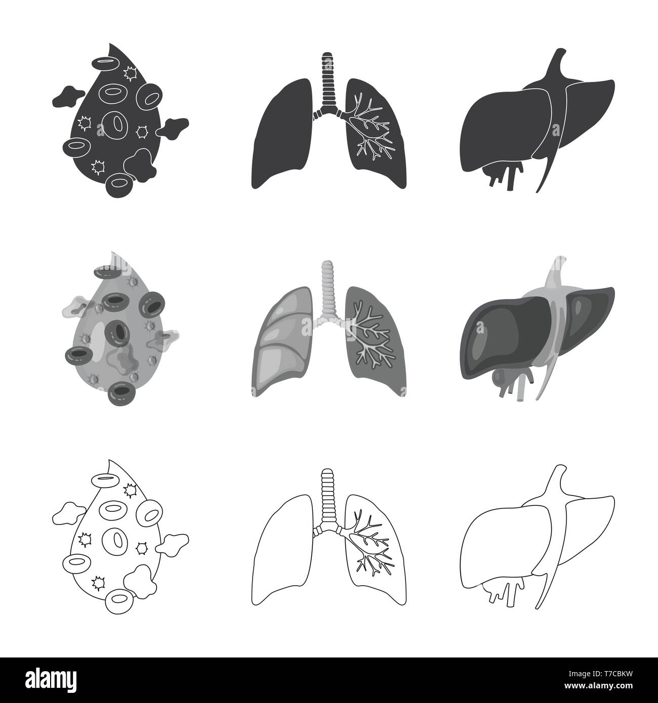Vector illustration of biology and scientific symbol. Set of biology ...