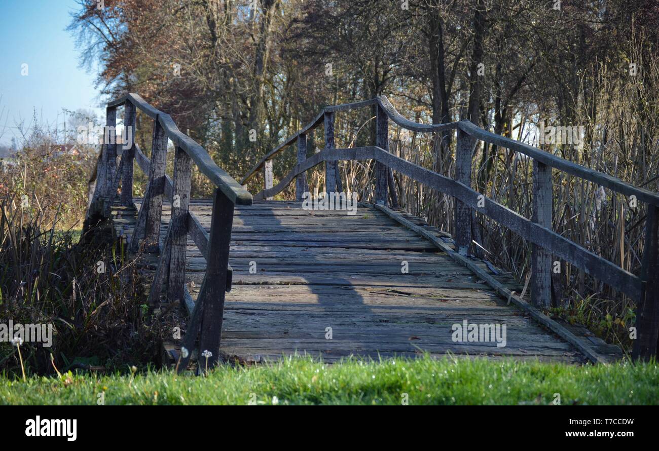 Wooden bridge in autumn surrounding Stock Photo