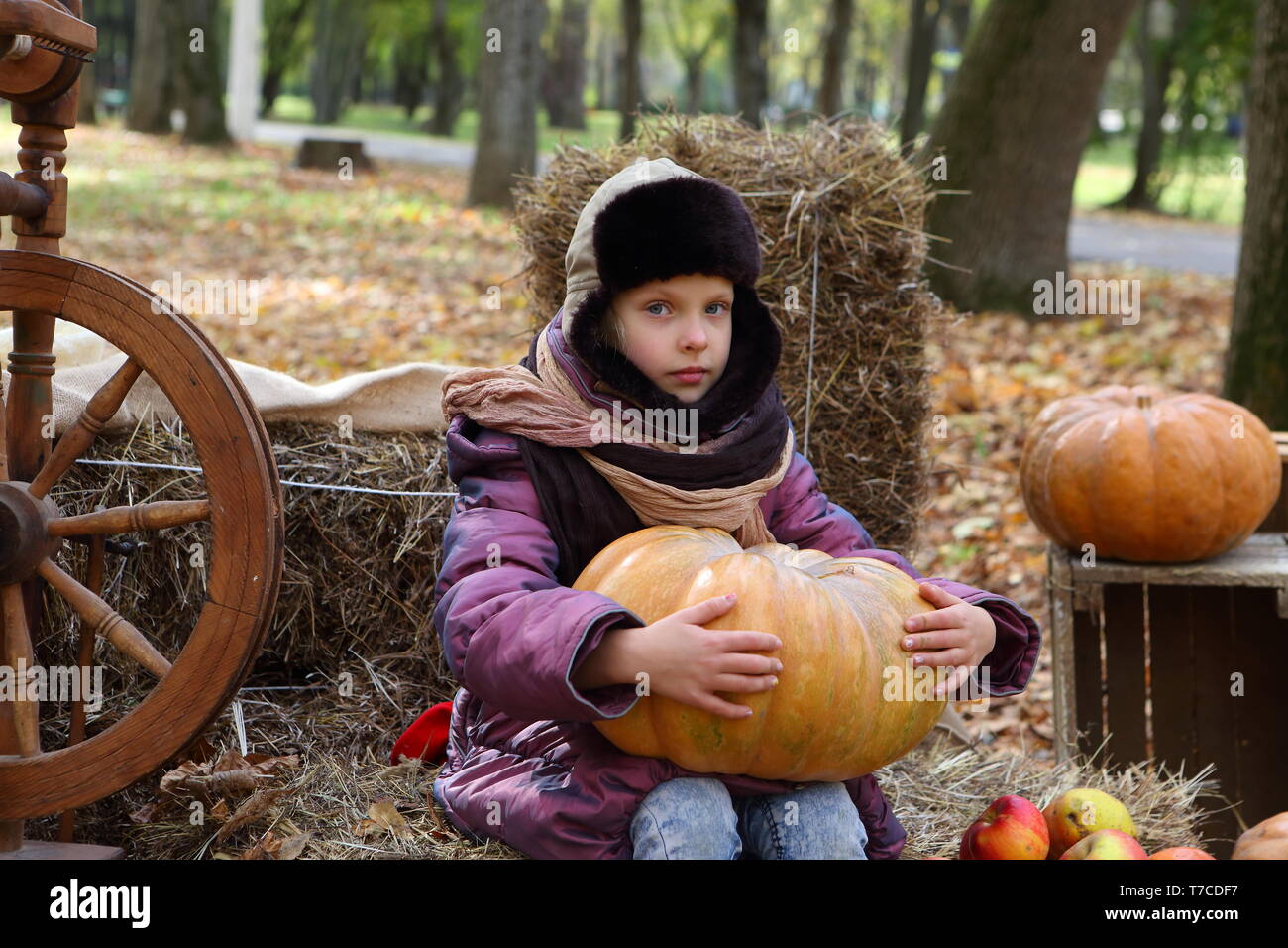 Little girl next to a pumpkin Stock Photo - Alamy