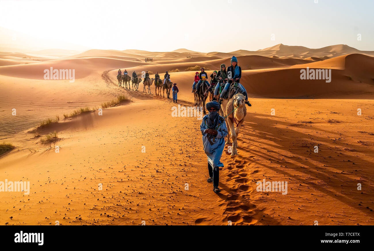 Merzouga, Morocco - May 02, 2019: Caravan walking in Merzouga Sahara desert on Morocco Stock Photo