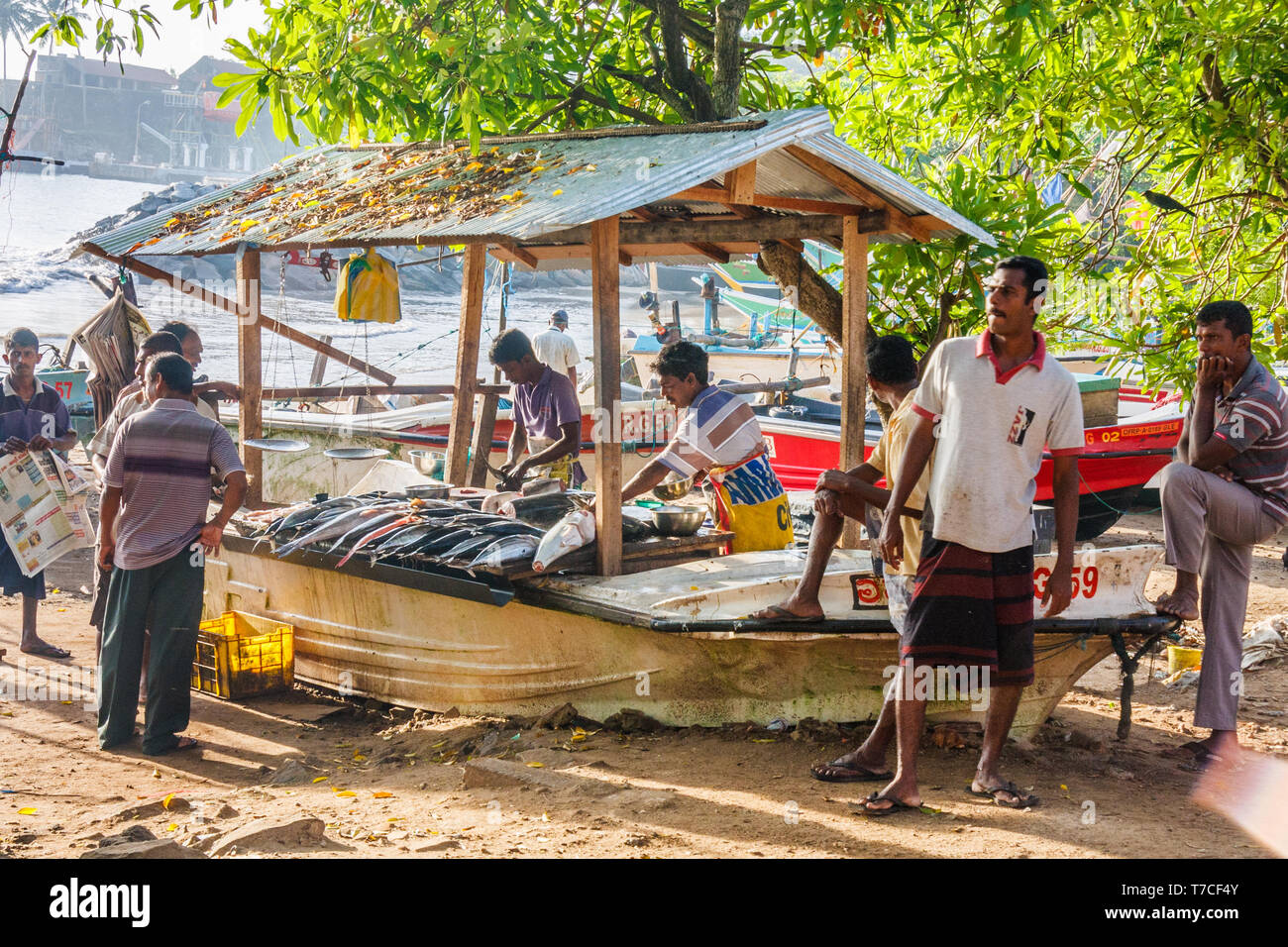 Galle, Sri Lanka March 14th 2011 Fish market on the beach. Fishermen