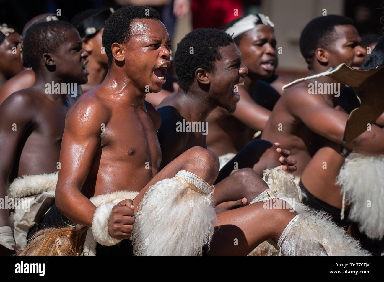 Dance zulu culture What is