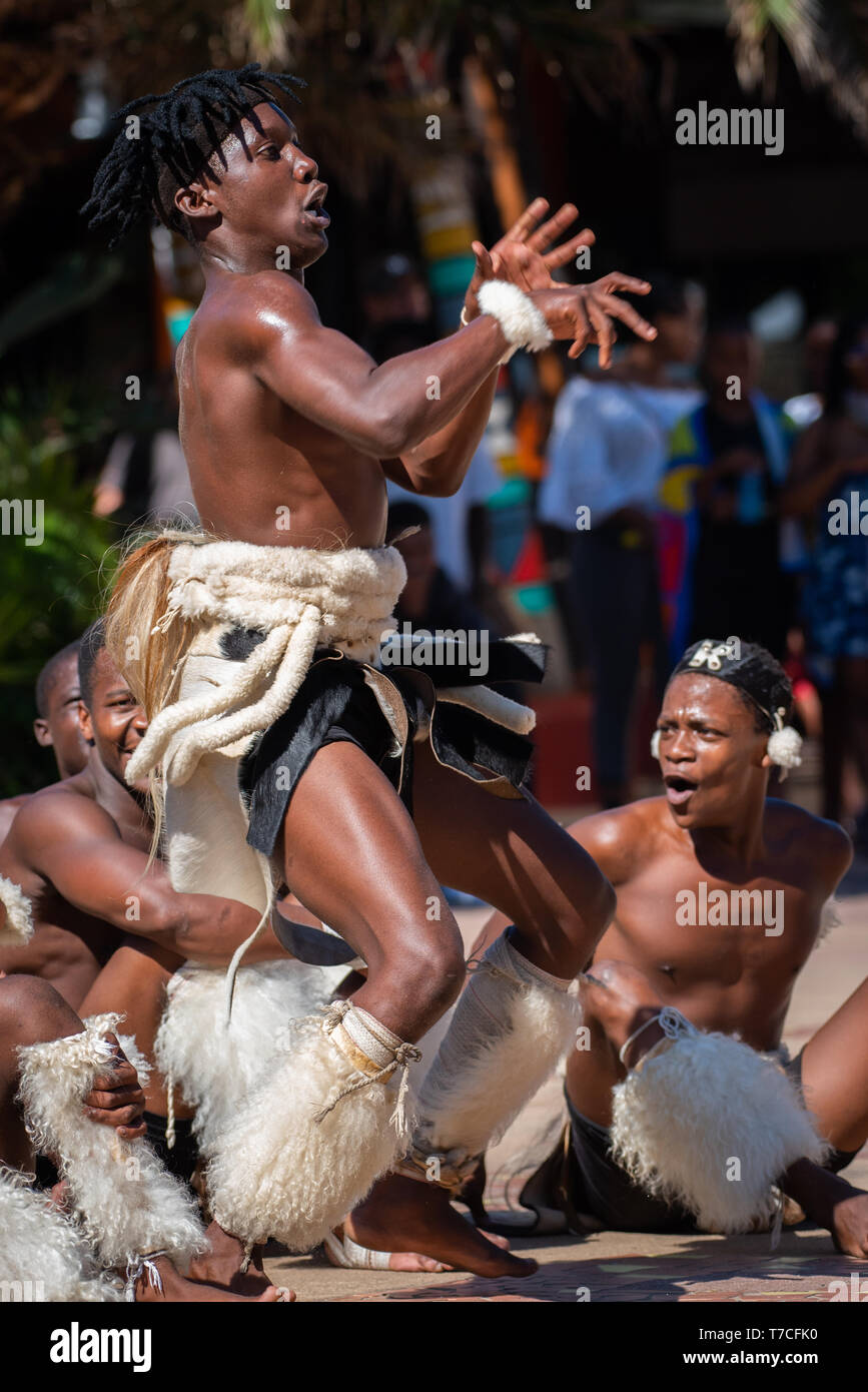 zulu-dancers-in-south-africa-hi-res-stock-photography-and-images-alamy
