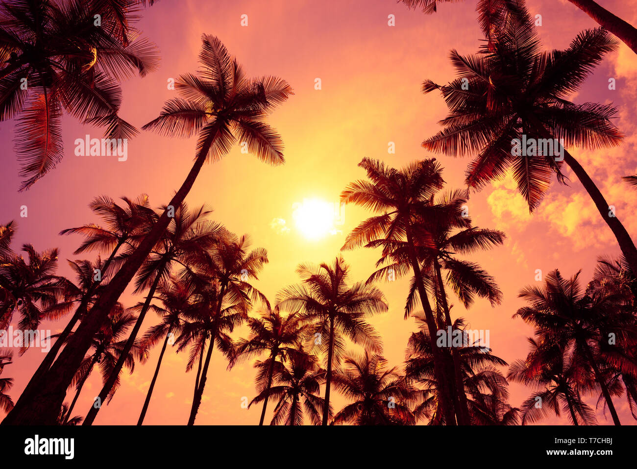 Warm tropical hi-res stock photography and images - Alamy