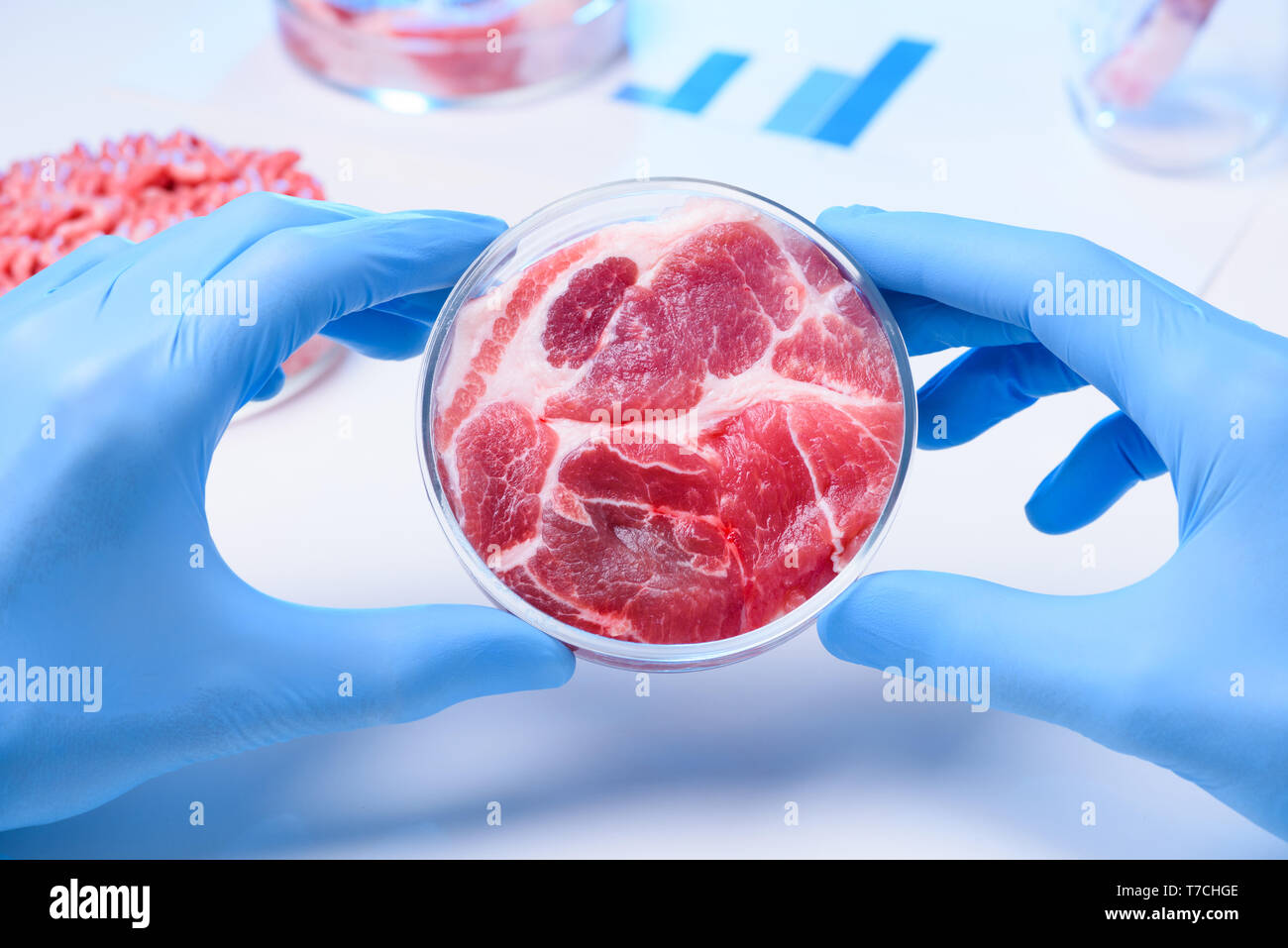 Meat in lab Petri dish Stock Photo