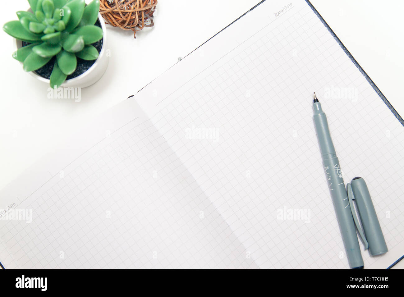 Flat lay, top view office table desk with opened notebook, sketchbook, succulent on white background. Freelancer working place. copyspace. Stock Photo