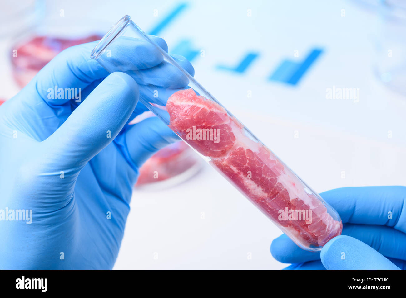 Meat in lab glass test tube Stock Photo