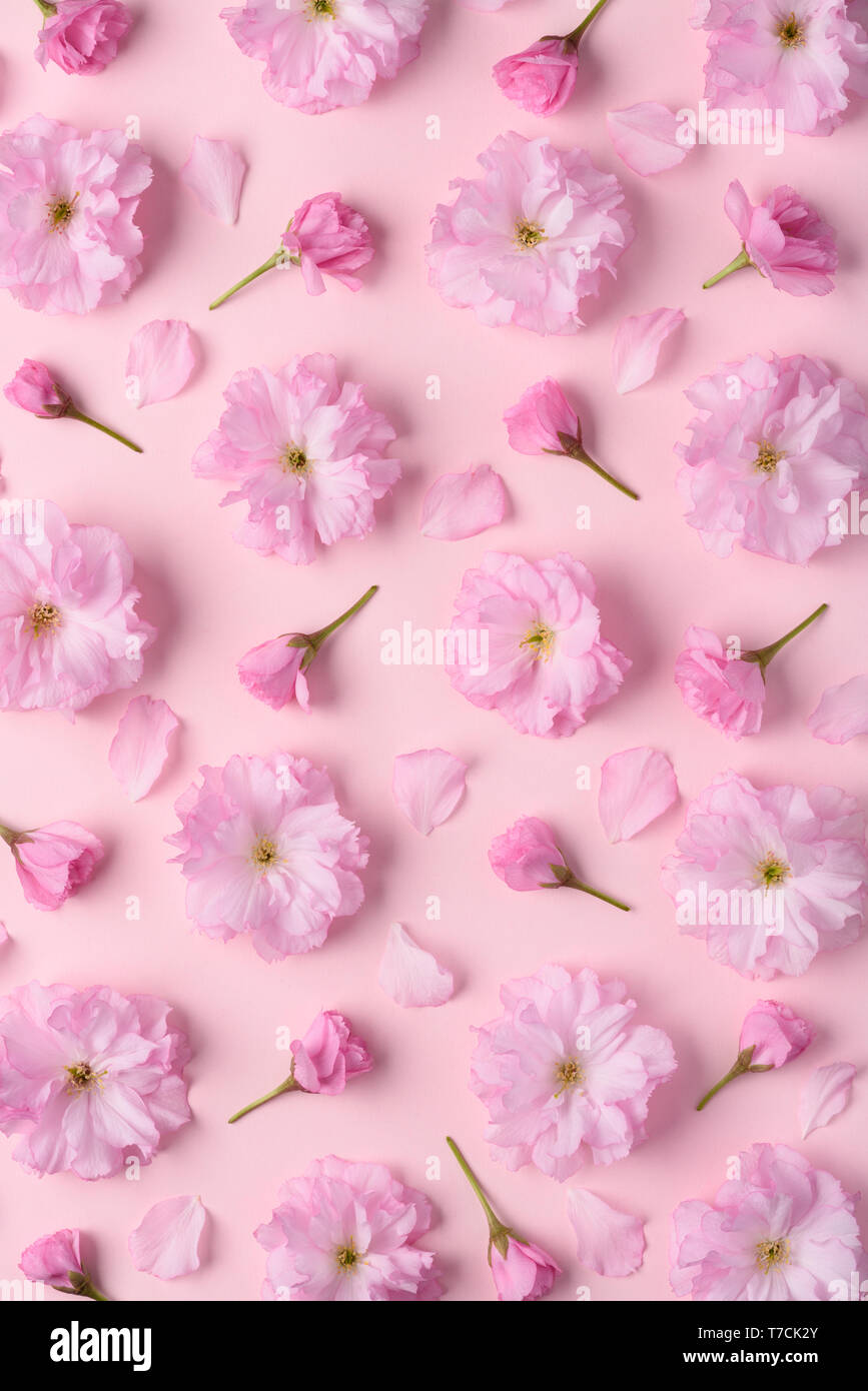 floral and petals