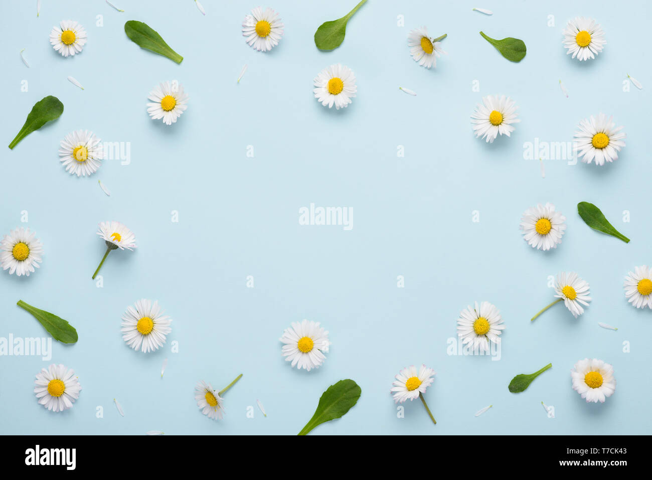 Flourish Border Floral Background Anniversary High Resolution Stock Photography And Images Alamy