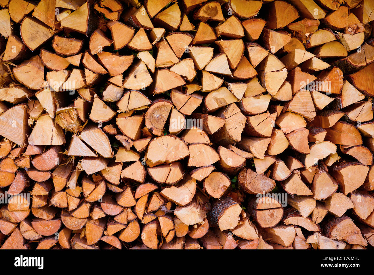 Firewood Wooden Logs Chopped Trunks Stacked Pile Drying For Winter