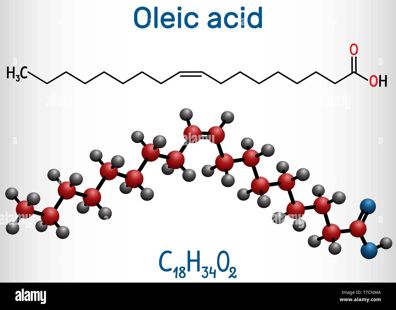 Voordracht Meerdere Blind Oleic acid ( cis, omega-9) molecule. Structural chemical formula and  molecule model. Vector illustration Stock Vector Image & Art - Alamy