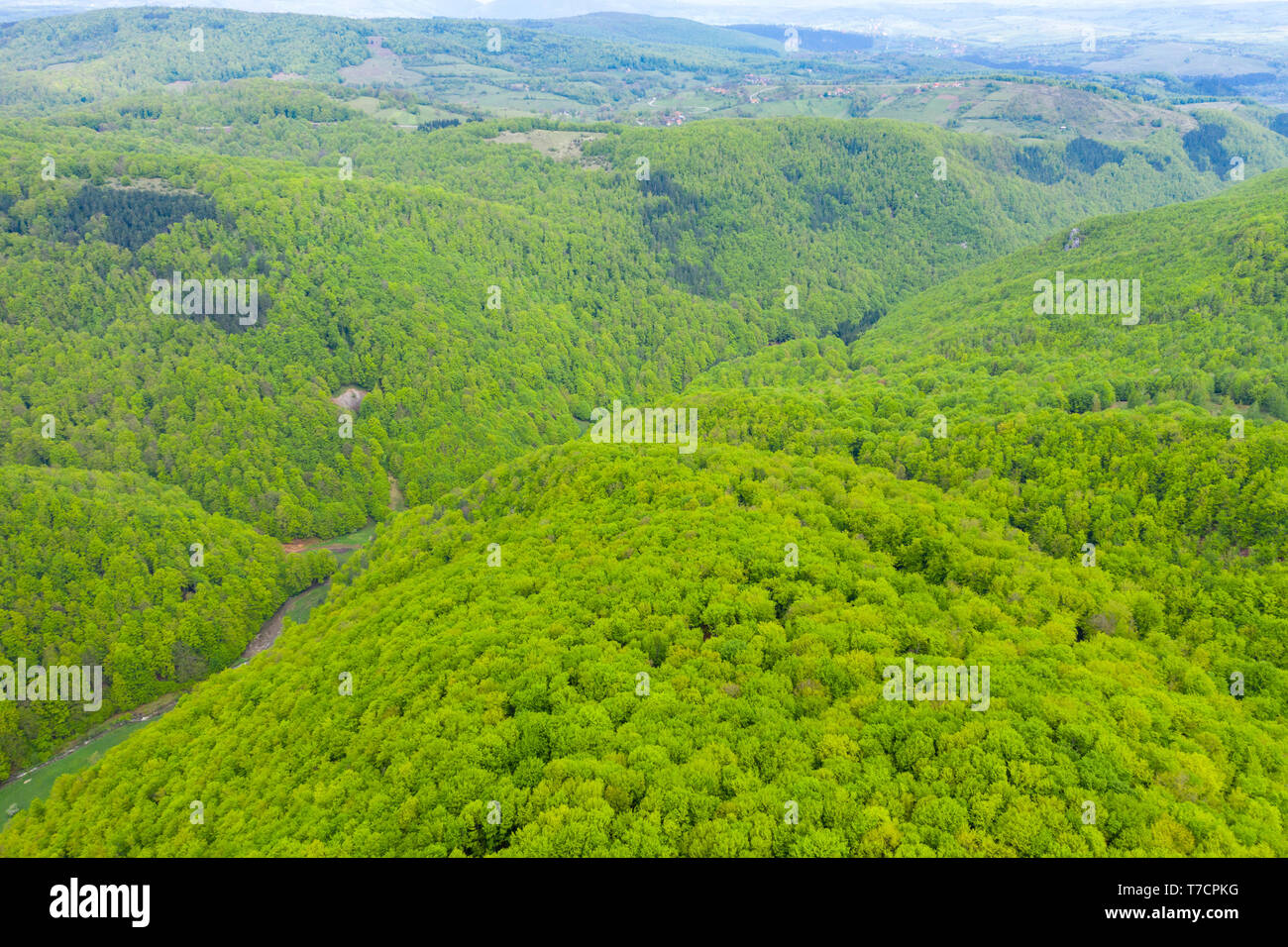 Aerial drone dense lush jungle hi-res stock photography and images - Alamy