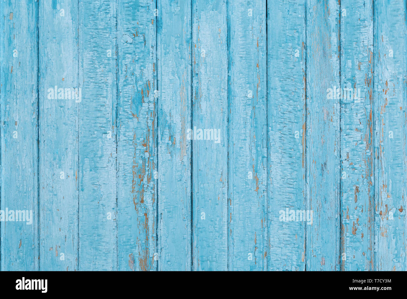Background from old boards painted in blue paint Stock Photo
