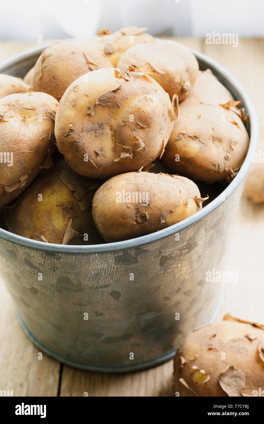 when are jersey royal potatoes in season