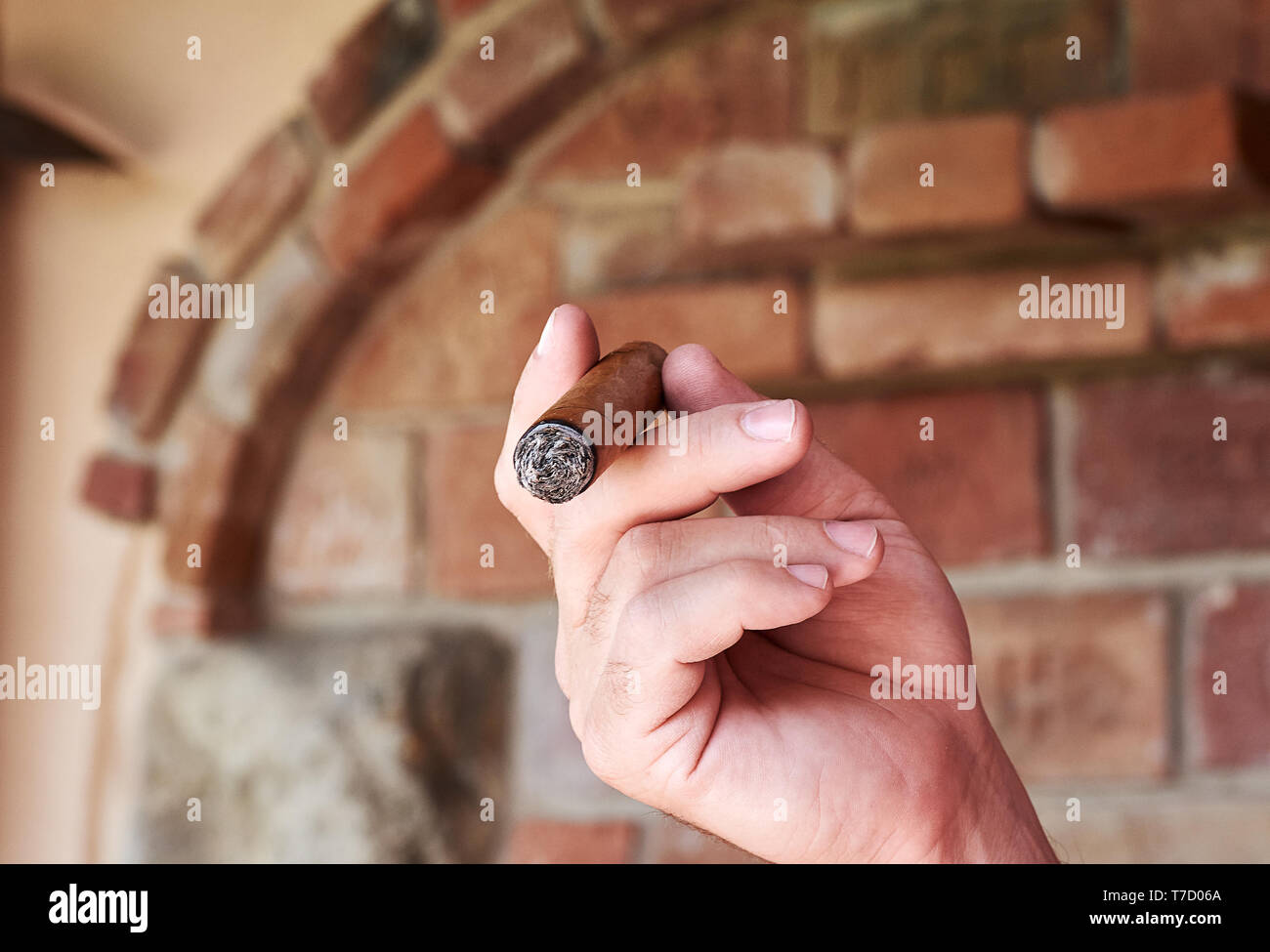 A man holds a burning cuban cigar in his hand and smoking. Smoker in front of defocused brick wall. Stock Photo