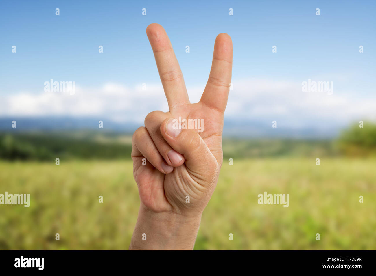 Pacifist man showing peace or victory sign using index and middle fingers with green field as background Stock Photo