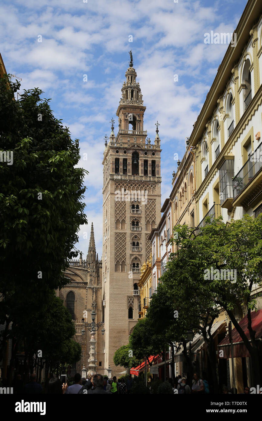 Spain. Andalusia. Seville. The Giralda Tower, ancient minaret of Great Mosque. Almohad style. 12th century. Seville Cathedral. Stock Photo