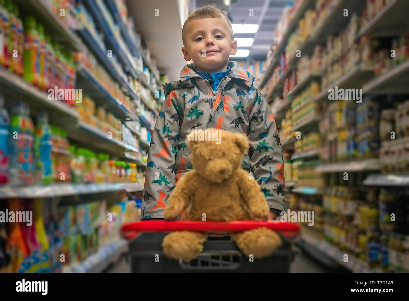 Cute little Caucasian boy shopping with his teddy bear in a basket ...
