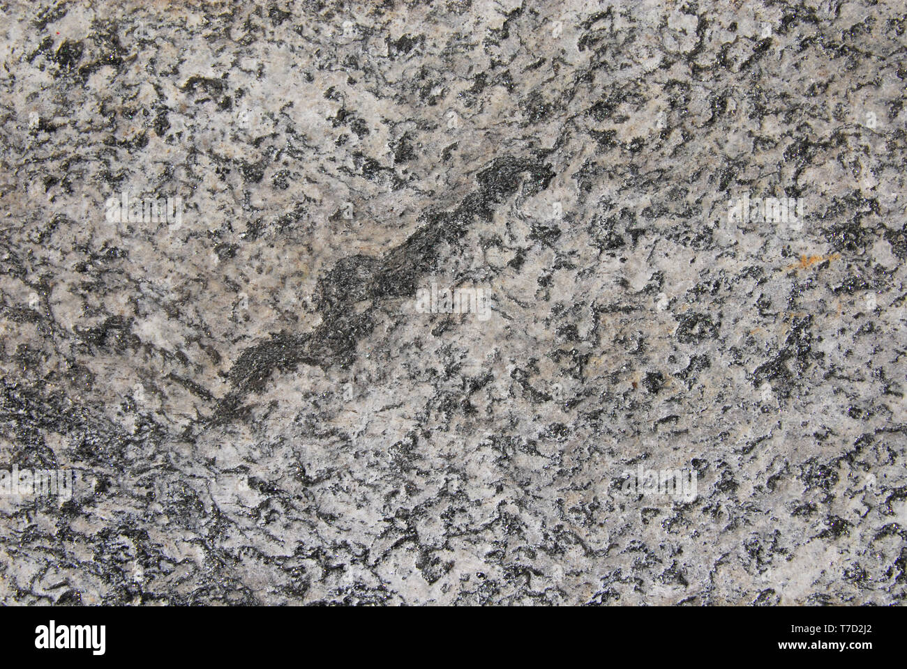 Grey old granite rock with quarts as background Stock Photo