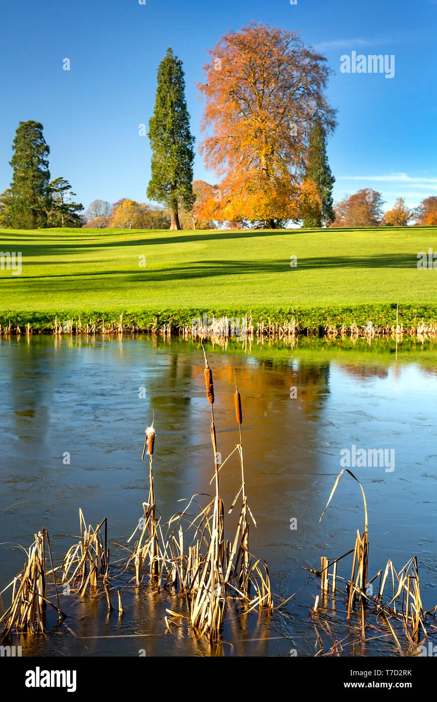 EARLY MORNING TRANQUIL AUTUMN COLOURS COUNTRYSIDE SCENE IN RUSHMORE ESTATE, WILTSHIRE UK Stock Photo