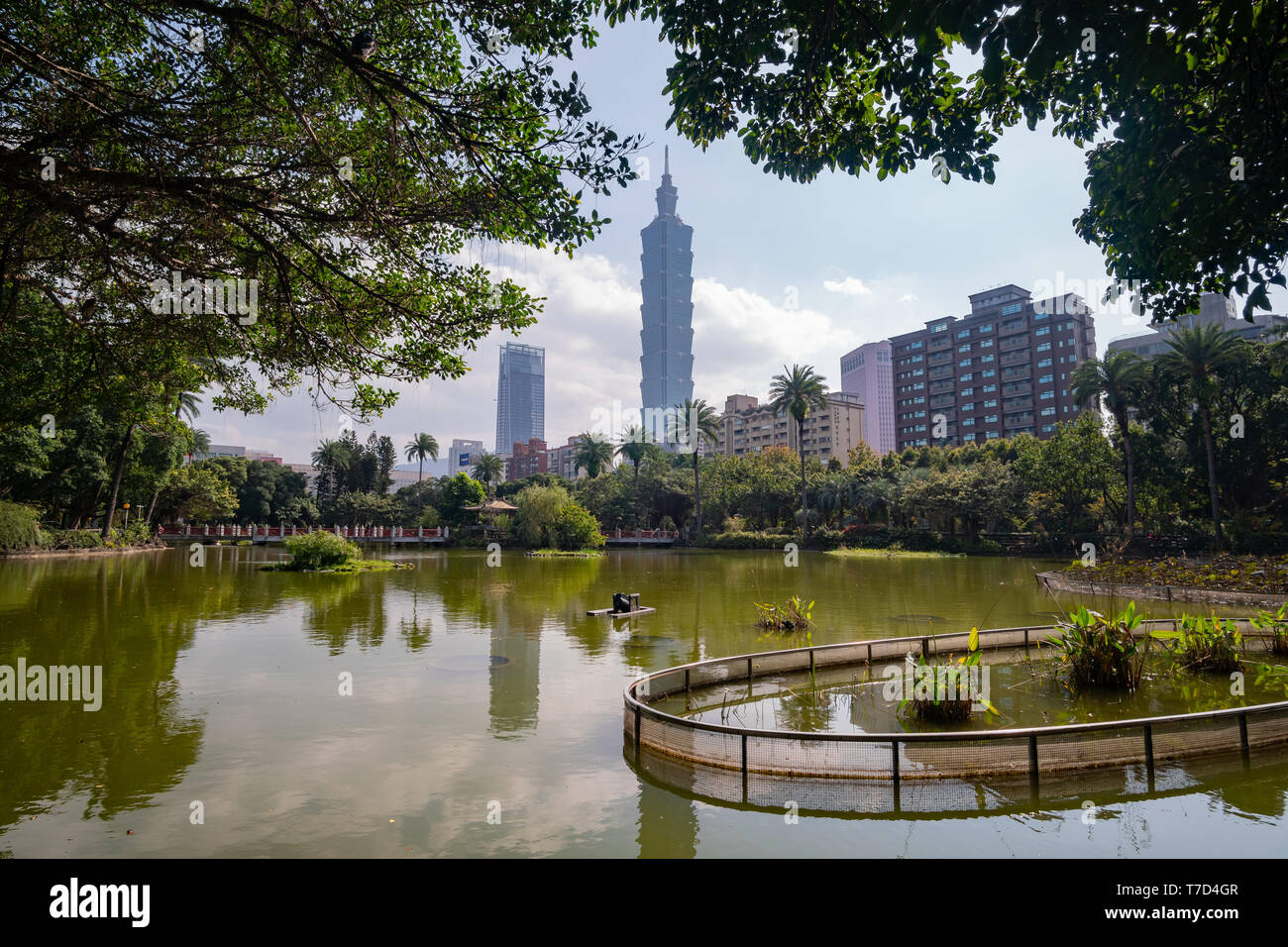 Taipei 101 and other building view from National Dr. Sun YatSen