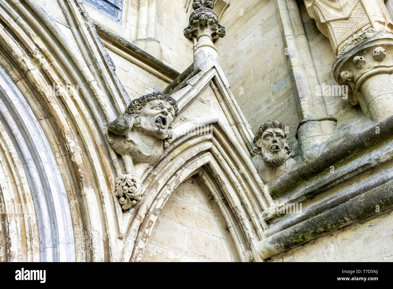 Gargoyles at Salisbury Cathedral UK Stock Photo