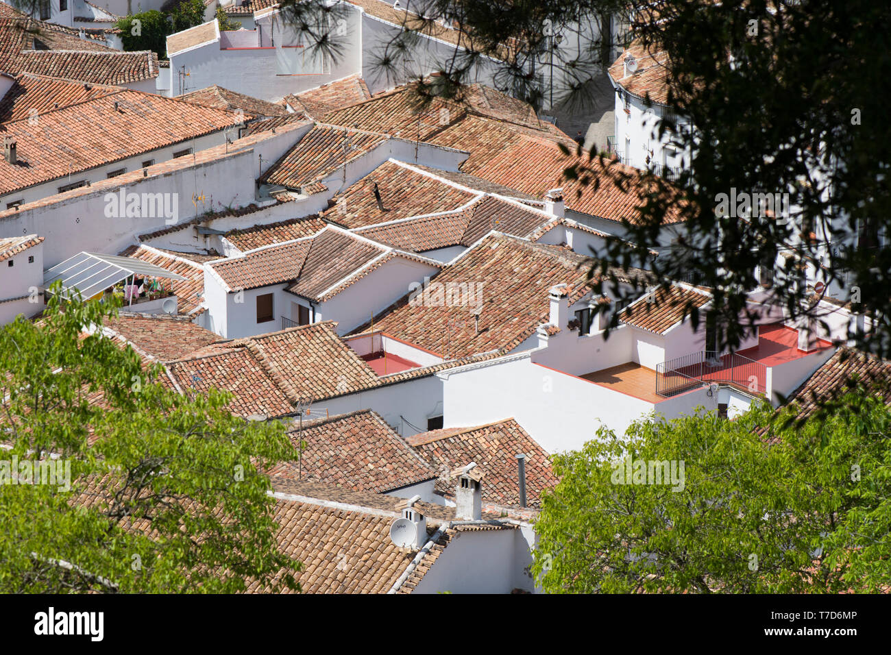 Spanish rooftops Grazalema Spain, roofs of spanish houses, Andalusia. Stock Photo