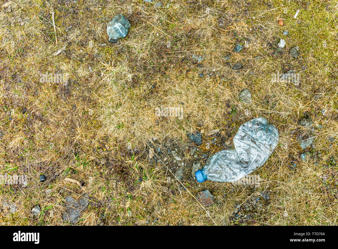 Plastic water bottle left on forest floor in a remote location Stock Photo