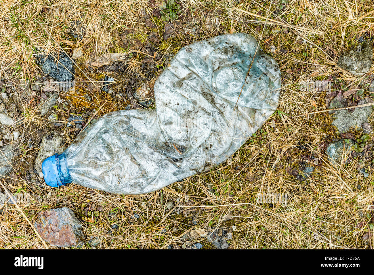Plastic water bottle left on forest floor in a remote location Stock Photo