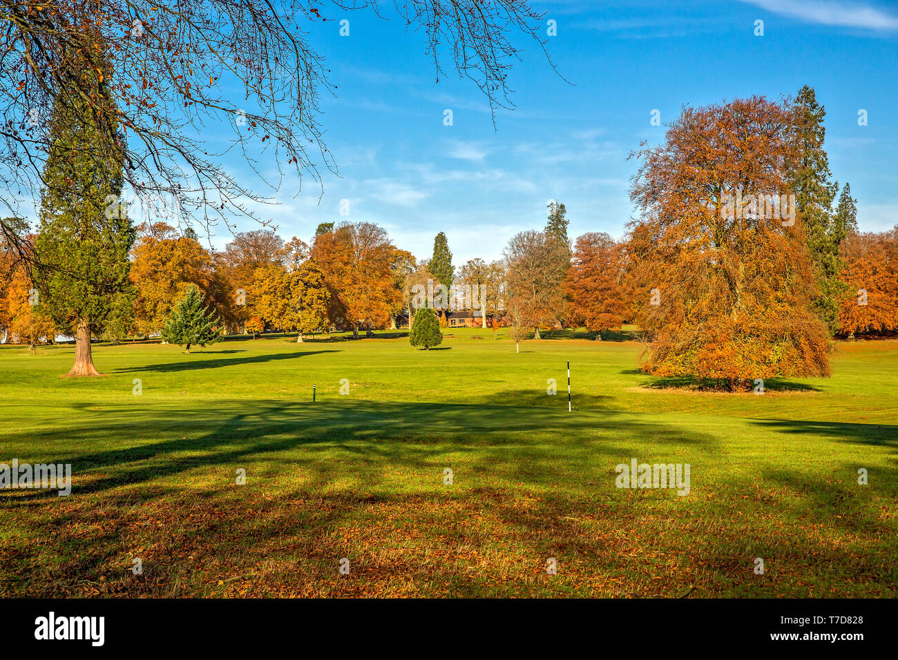 Rushmore Park Golf Club in Autumn. Wiltshire UK Stock Photo - Alamy