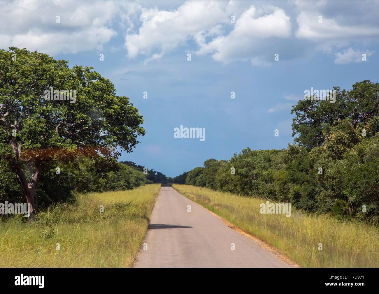 Road between Botsuana and Zimbabwe Stock Photo