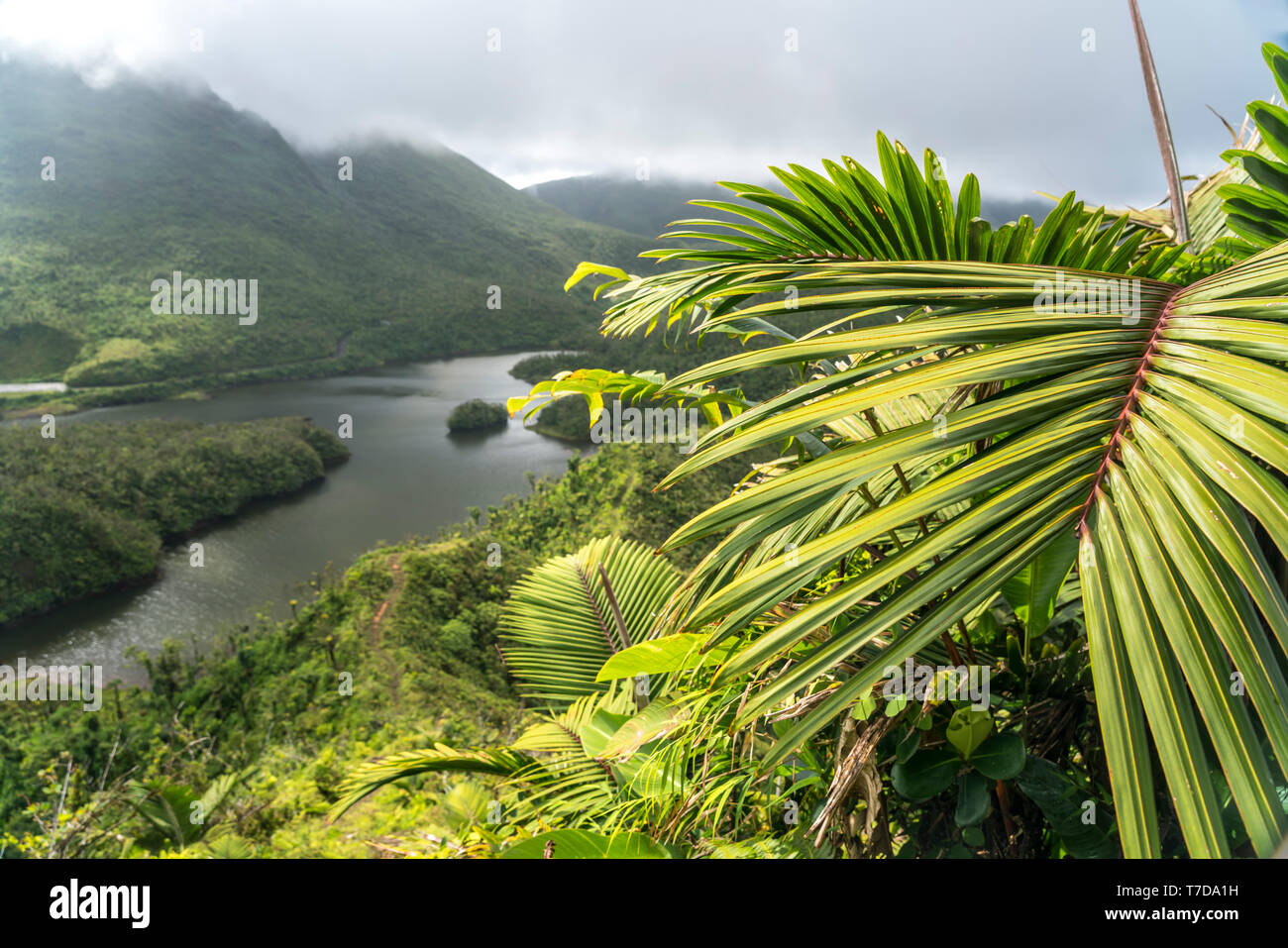 Der See Freshwater Lake im Morne Trois Pitons Nationalpark,  Dominica, Karibik, Mittelamerika  |  Freshwater Lake, Morne Trois Pitons national park, D Stock Photo