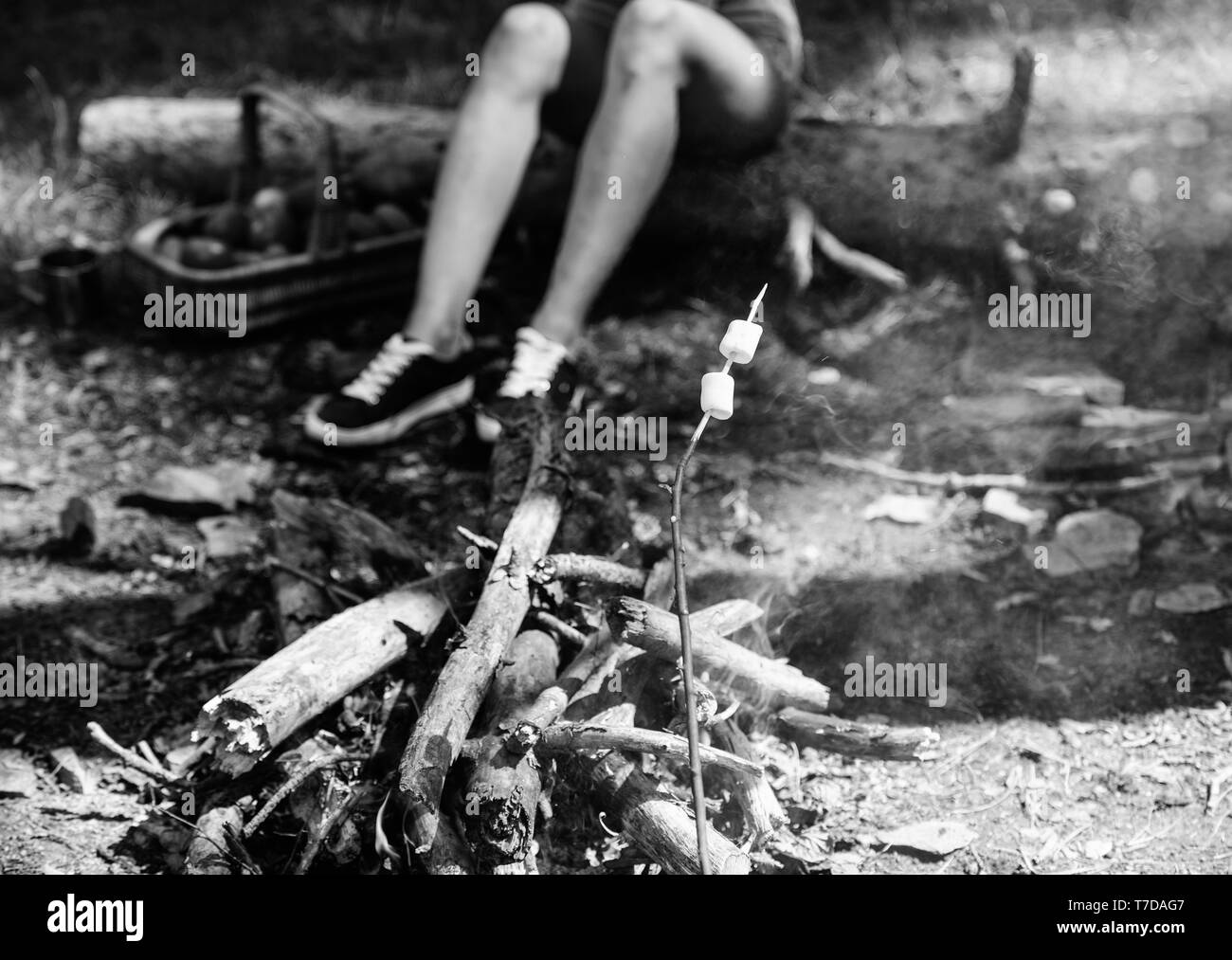 Camp tradition. Marshmallows on stick with bonfire and smoke on