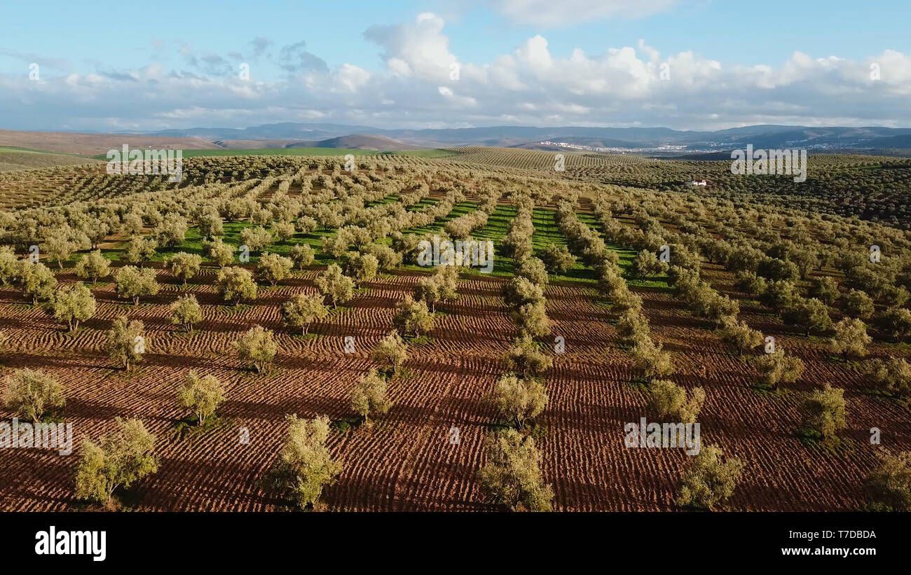 Aerial green fields in morocco hi-res stock photography and images - Alamy