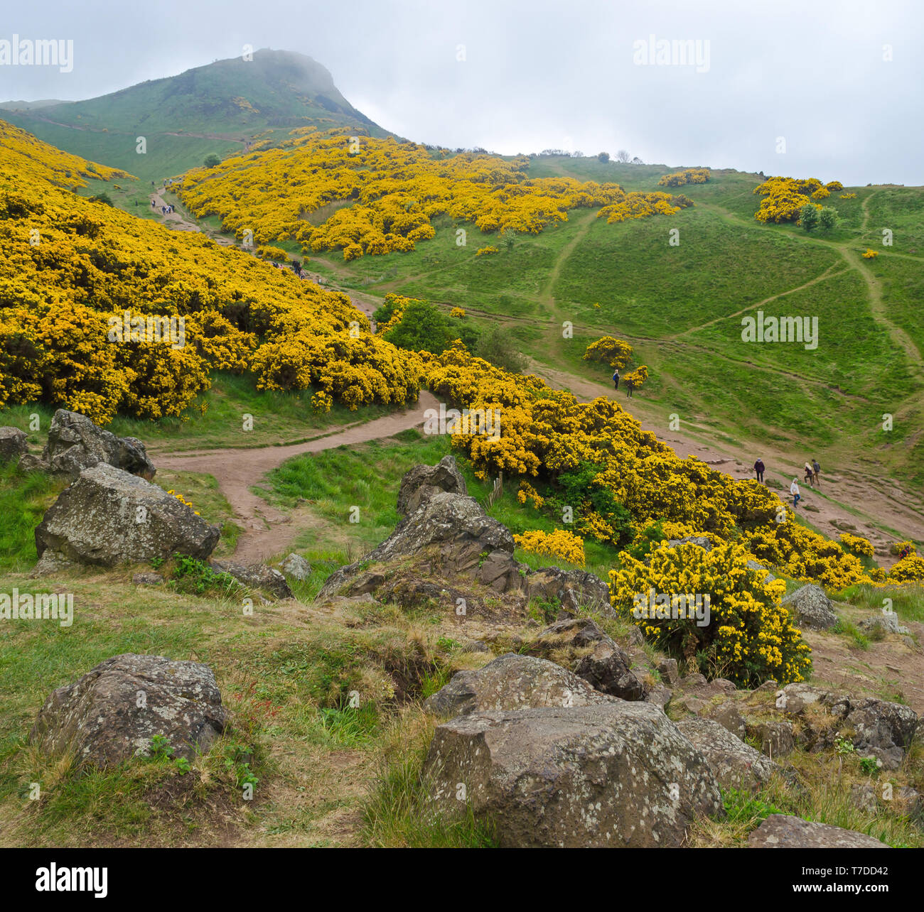 Hiking trails at Holyrood Park, Edinburgh leading up to Arthurs Seat Stock Photo