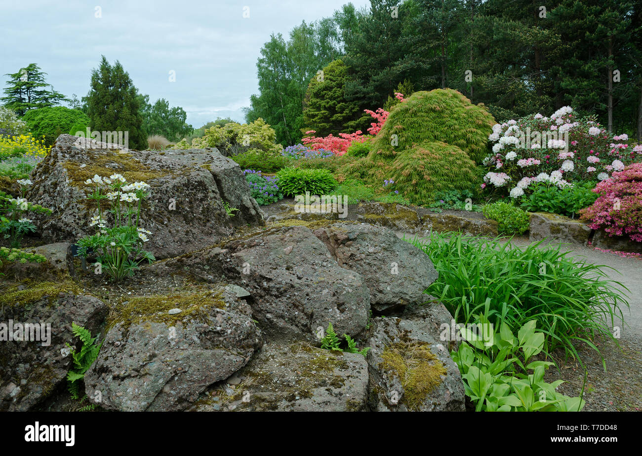 Botanical Gardens Rockery with shrubs and flowers Stock Photo - Alamy